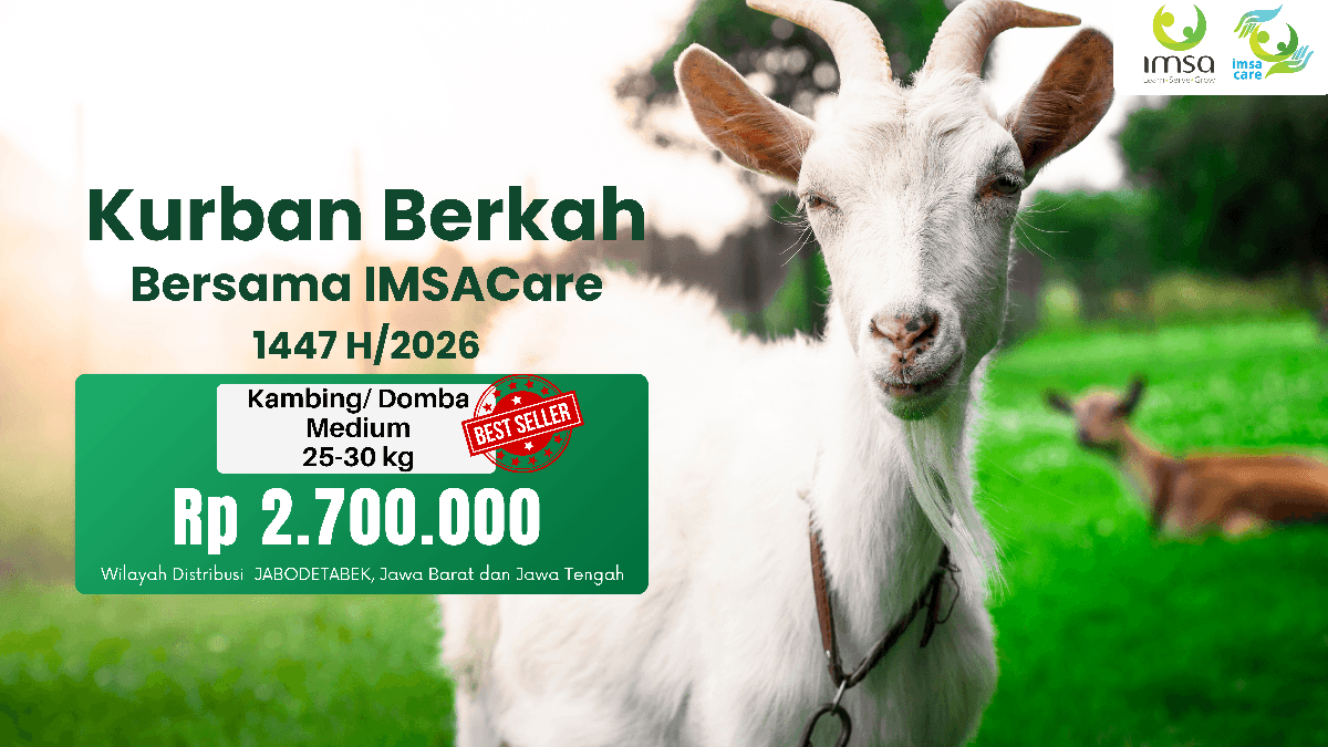 Kurban Kambing/Domba Medium (25-30 kg)