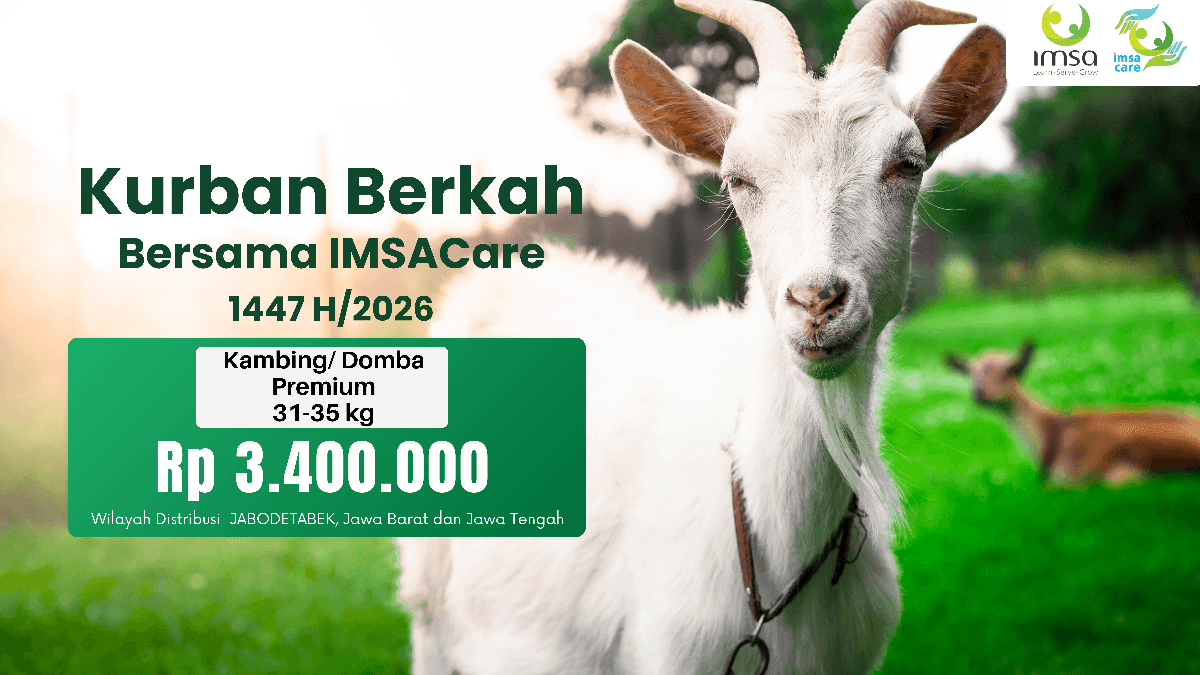 Kurban Kambing/Domba Premium (31-35 kg)